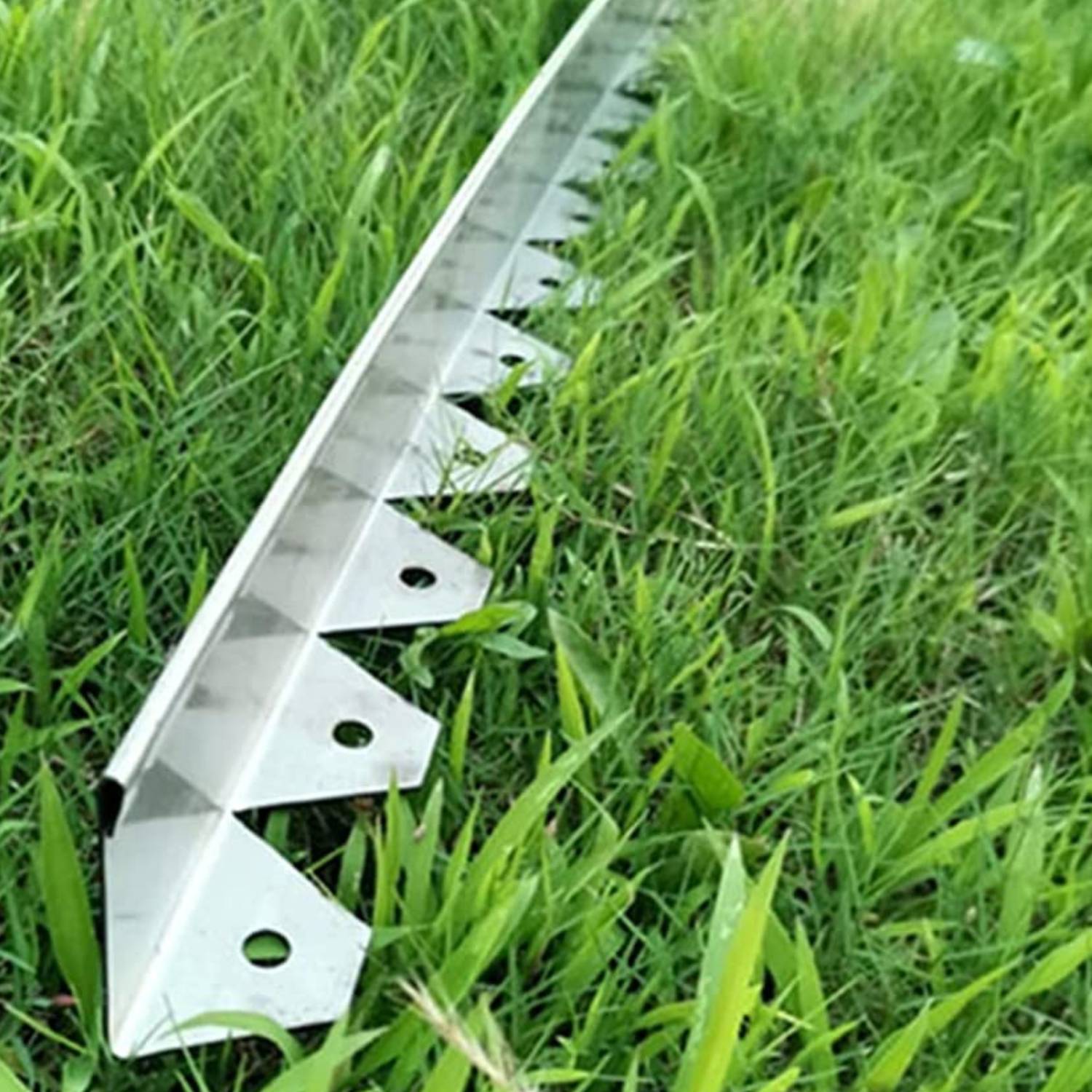 buy stainless steel lawn edge online